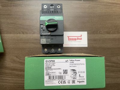 Cầu dao bảo vệ động cơ Schneider GV3P80